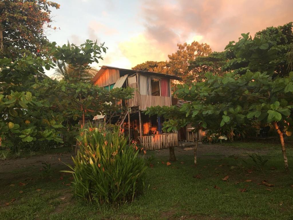 Miguel Surf Camp Hotel Quepos Exterior photo