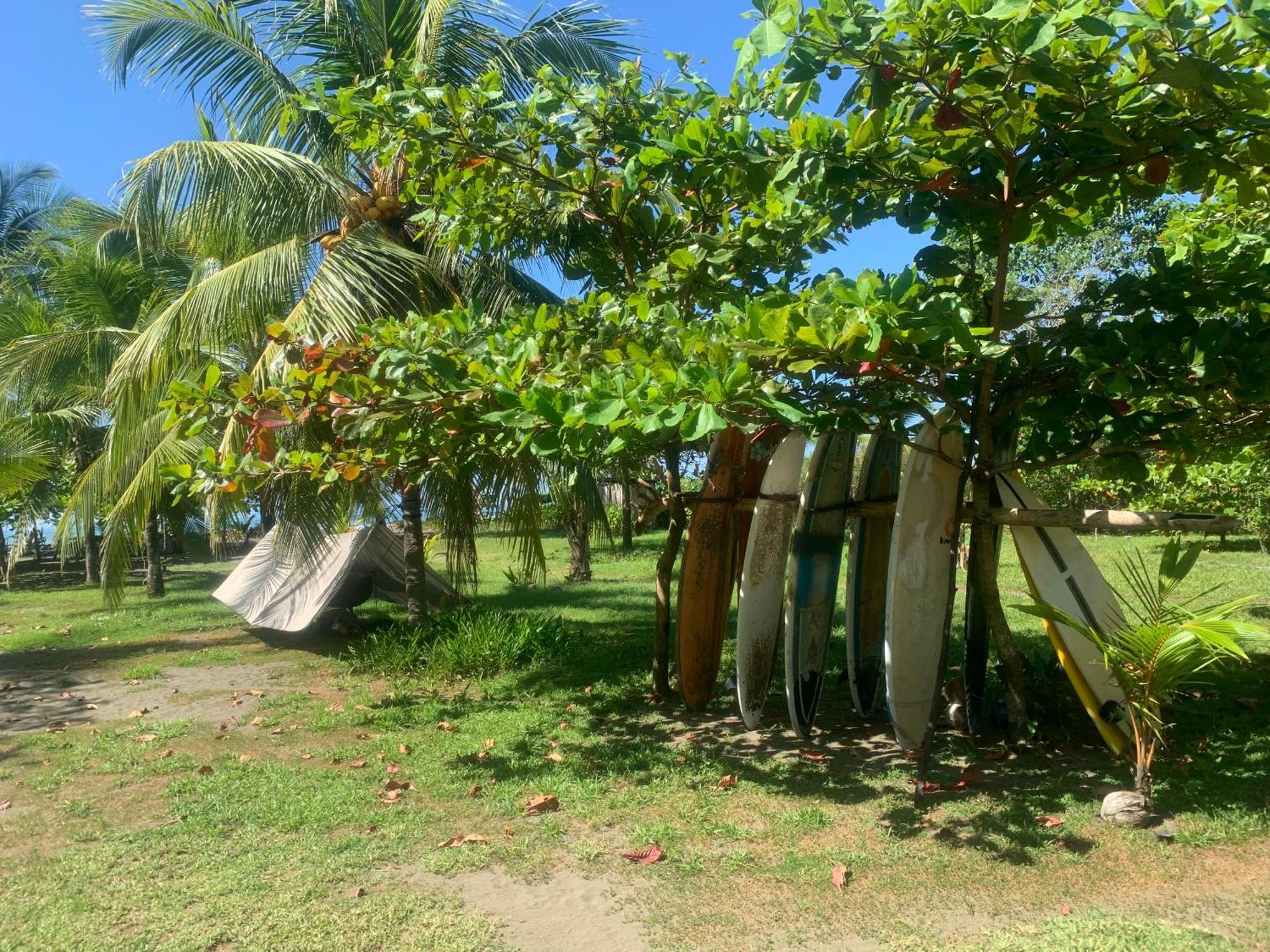 Miguel Surf Camp Hotel Quepos Exterior photo