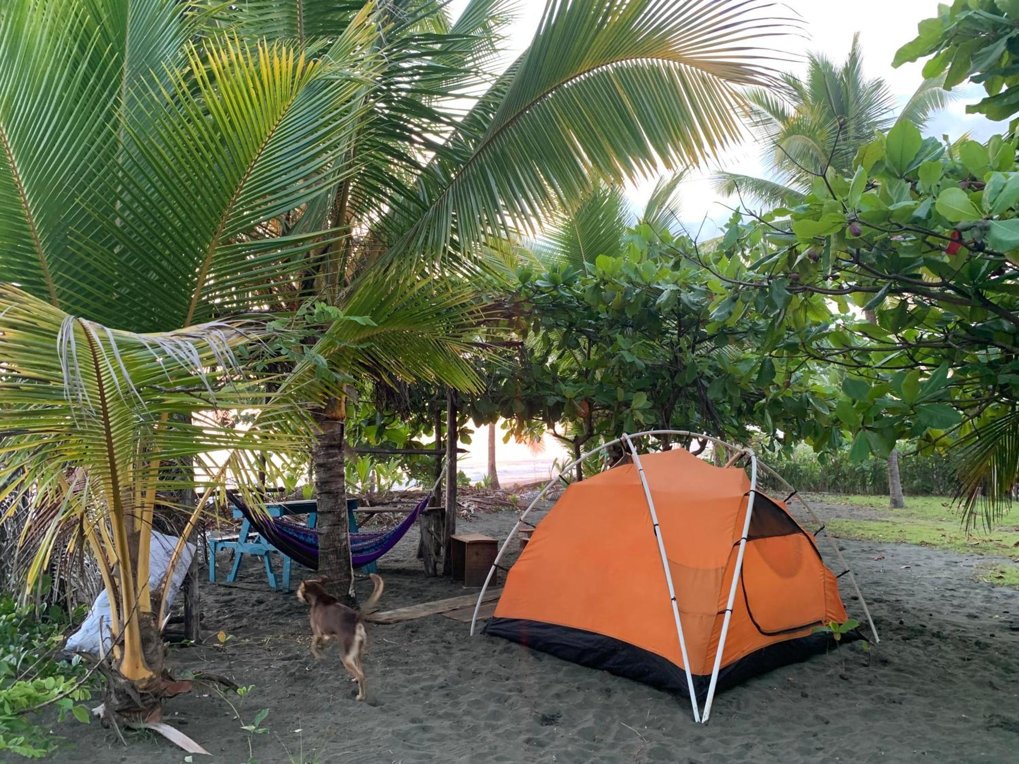 Miguel Surf Camp Hotel Quepos Exterior photo