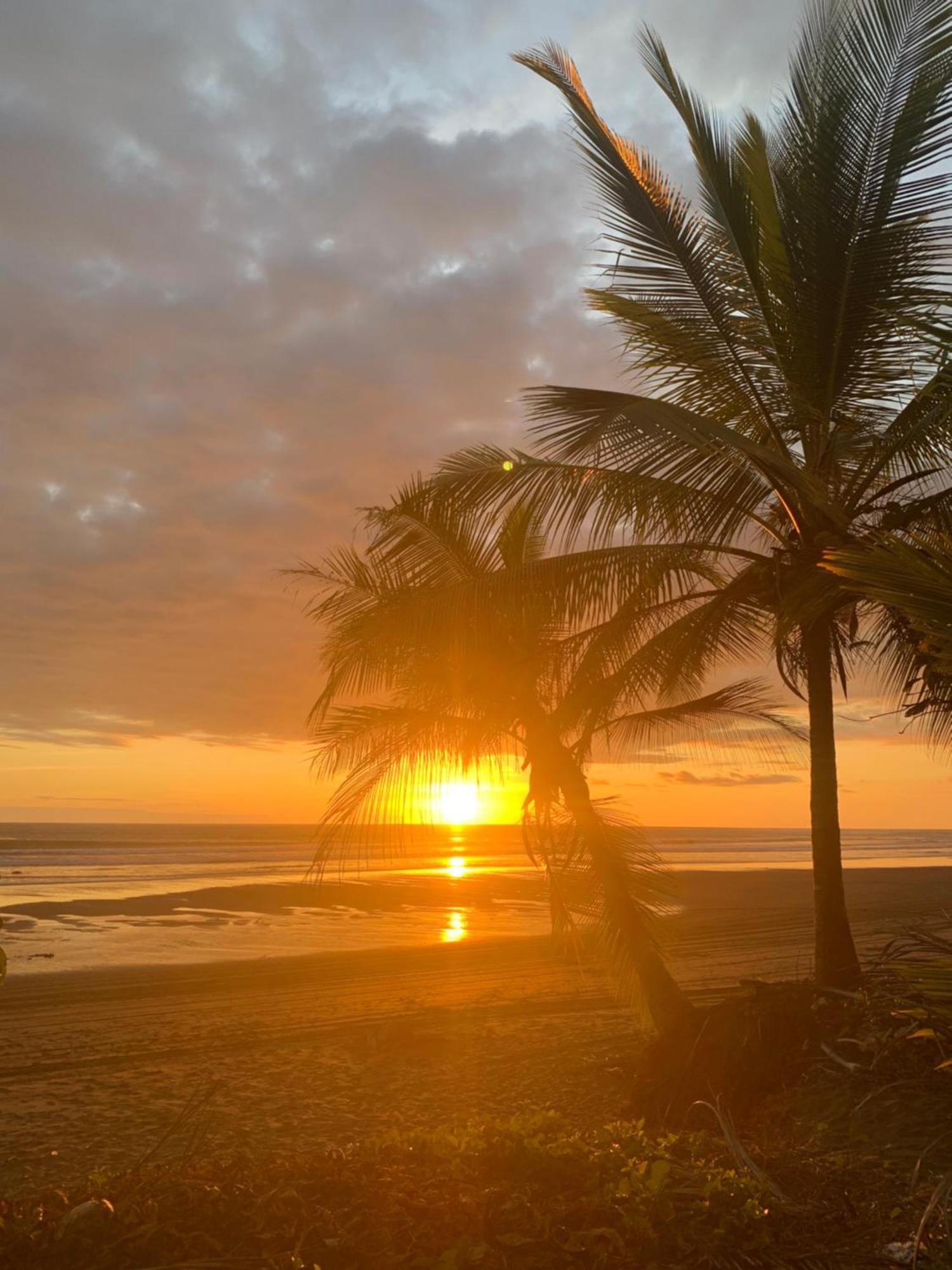 Miguel Surf Camp Hotel Quepos Exterior photo