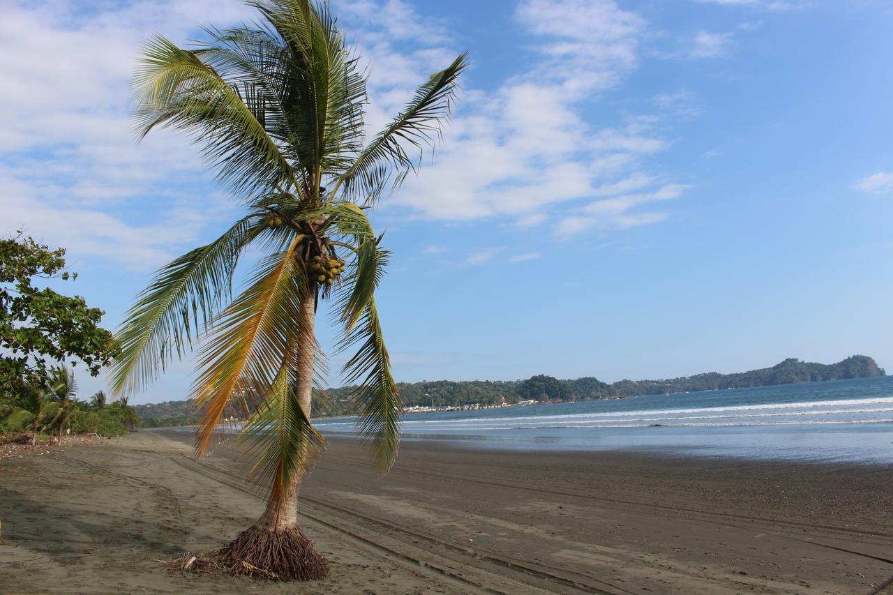 Miguel Surf Camp Hotel Quepos Exterior photo