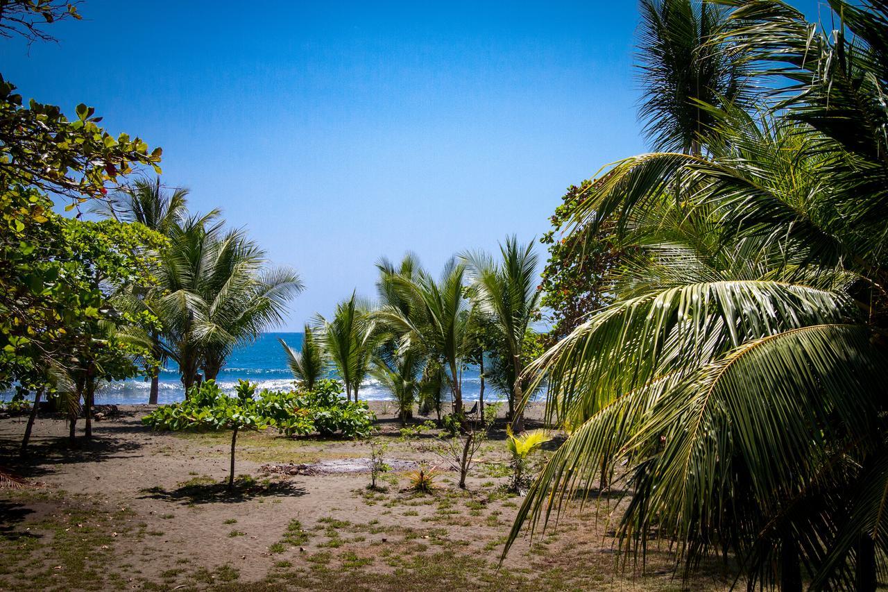 Miguel Surf Camp Hotel Quepos Exterior photo