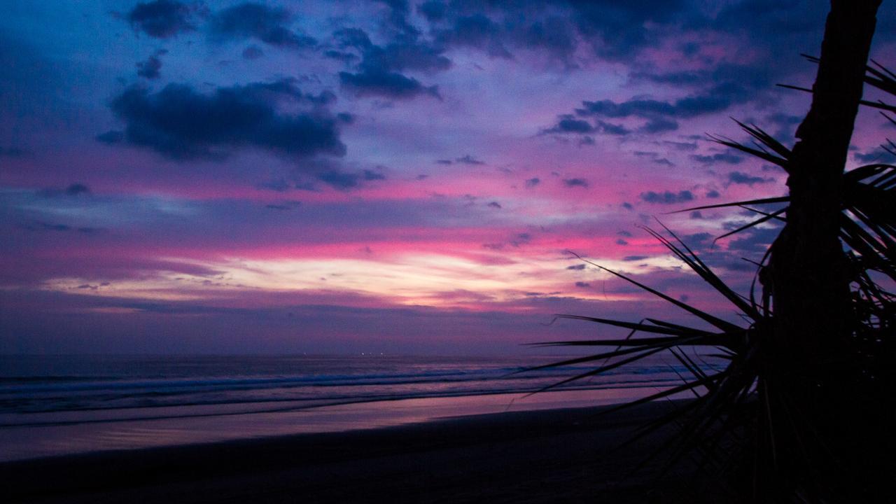 Miguel Surf Camp Hotel Quepos Exterior photo